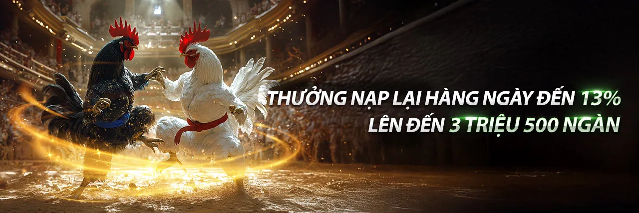Đấu trường đá gà online Sun.win20